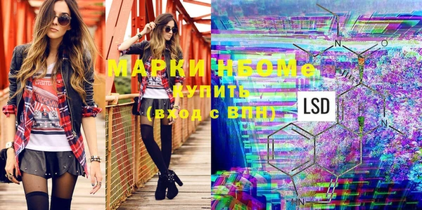 стаф Киренск