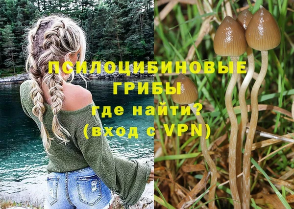 PSILOCYBIN Киреевск