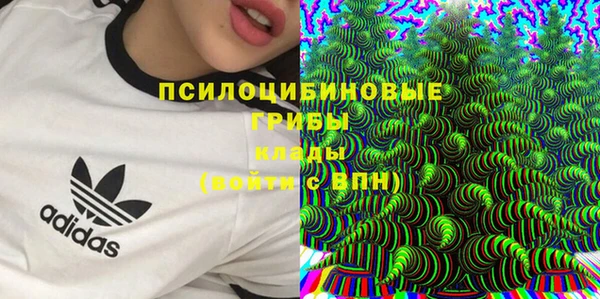 PSILOCYBIN Киреевск
