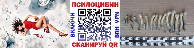 Купить где  Салехард  Галлюциногенные грибы мухоморы 